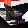 Ferrari sidepod panel detail