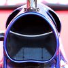 Scuderia Toro Rosso STR10 engine cover detail
